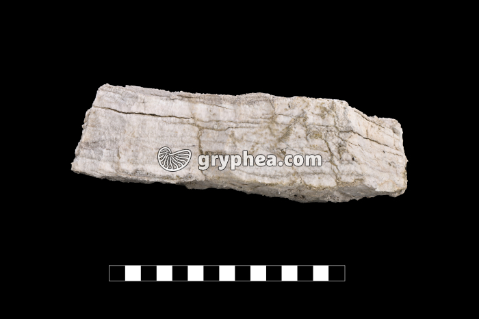 Gypse - échantillon (Col du Galibier, Alpes) - gryphea.org